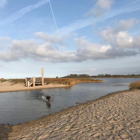 Ferienhaus Nele Ostseebad Kühlungsborn المظهر الخارجي الصورة