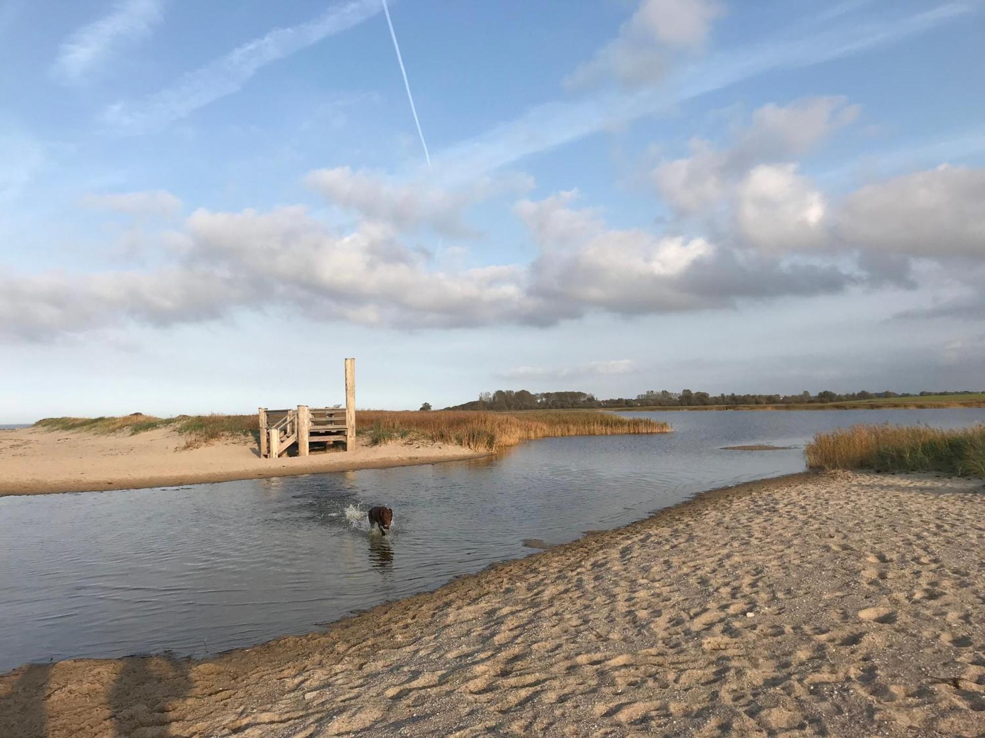 Ferienhaus Nele Ostseebad Kühlungsborn المظهر الخارجي الصورة